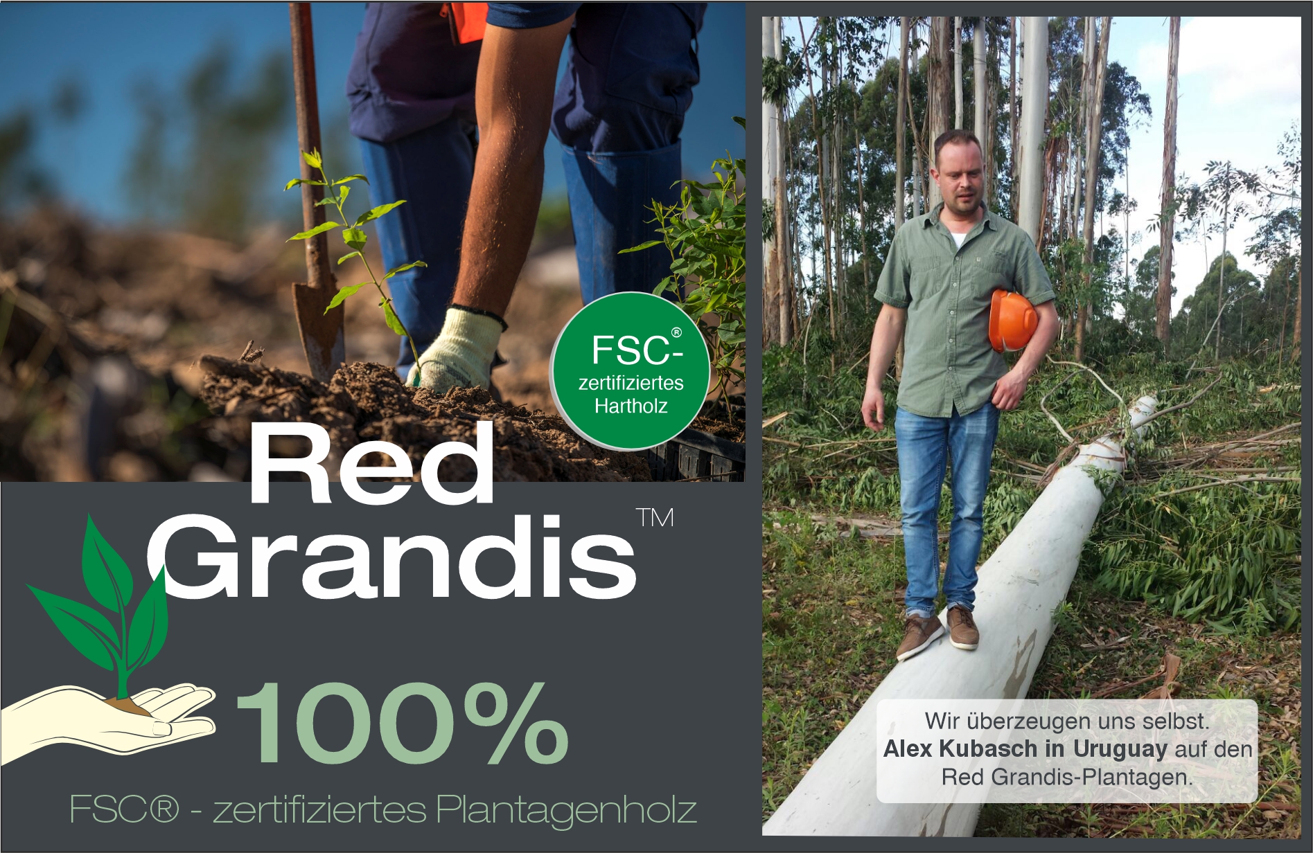 Red Grandis Holz | 100% FSC-Zertifiziert | Unsere 1. Wahl